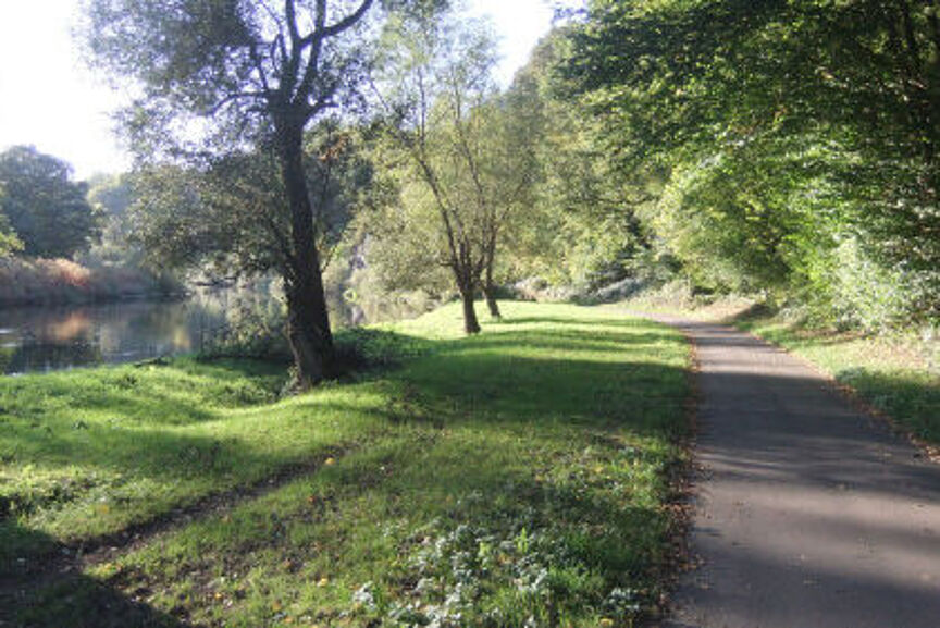 Radweg in den Siegauen - nur Natur